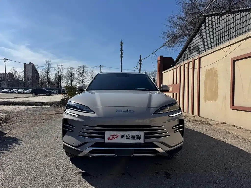 BYD PLUS New Energy — фото 3