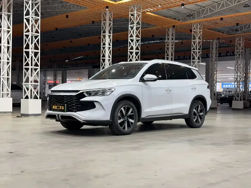 BYD Pro New Energy — фото 1