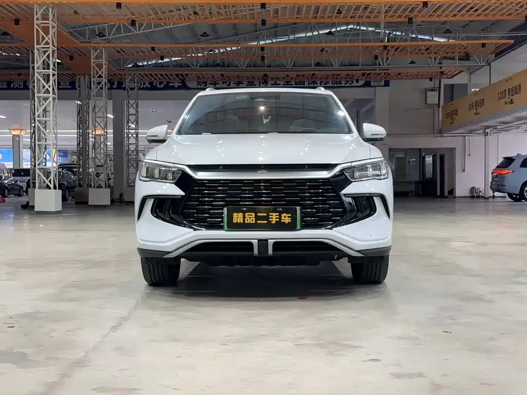 BYD Pro New Energy — фото 4