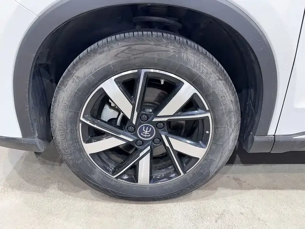 BYD Pro New Energy — фото 3