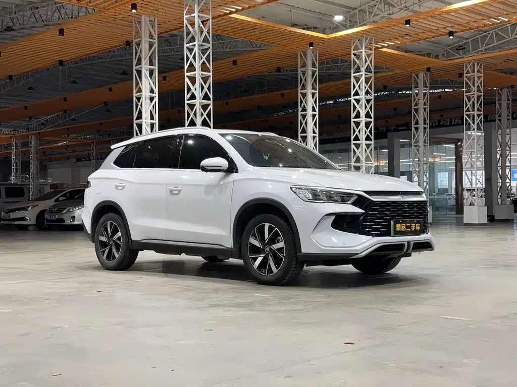 BYD Pro New Energy — фото 6