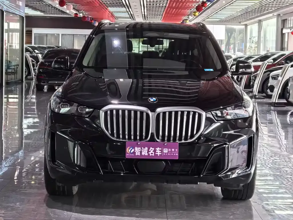BMW X5 — фото 10