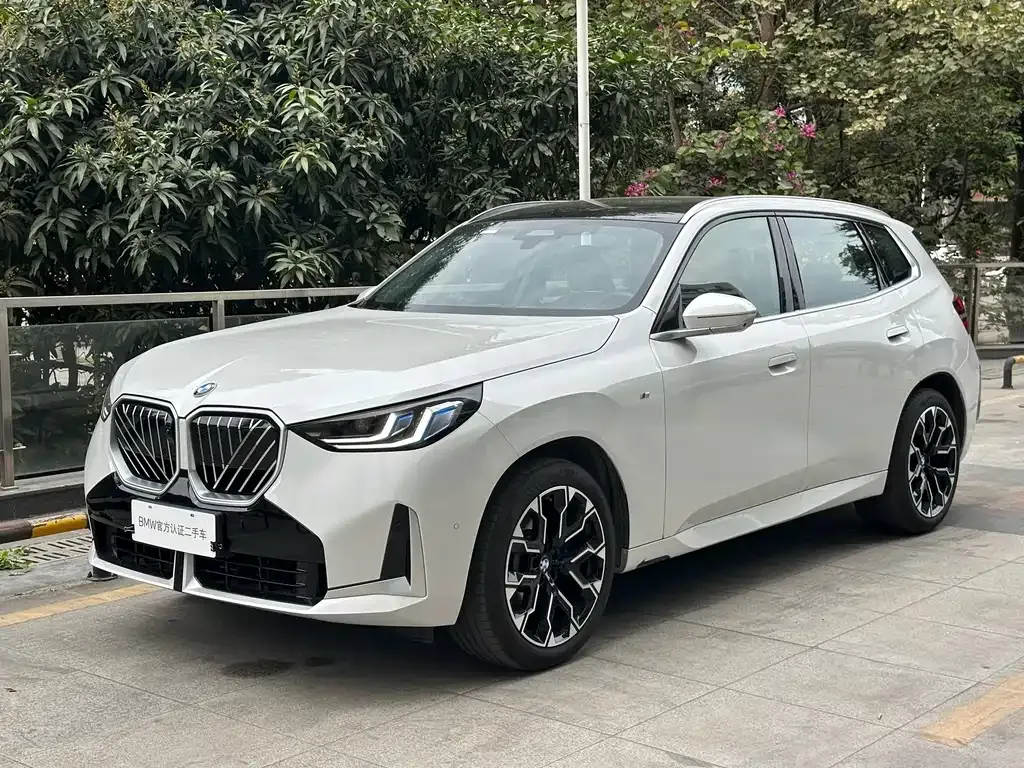 BMW X3 2025 из CN, фото 1