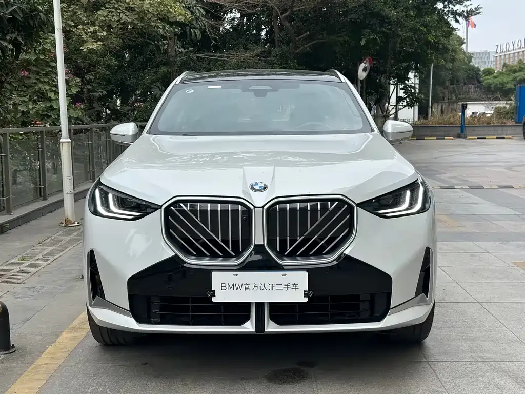 BMW X3 2025 из CN, фото 8