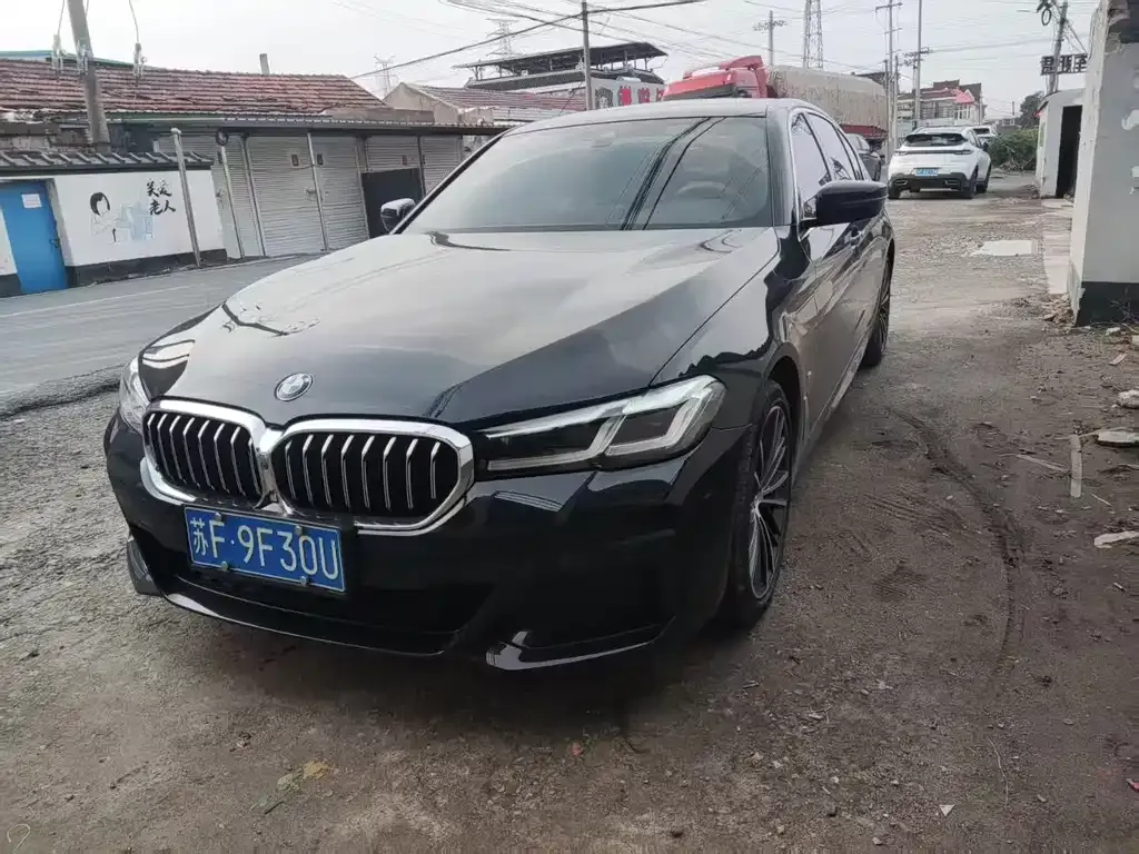 BMW 5 Series 2021 из CN, фото 1