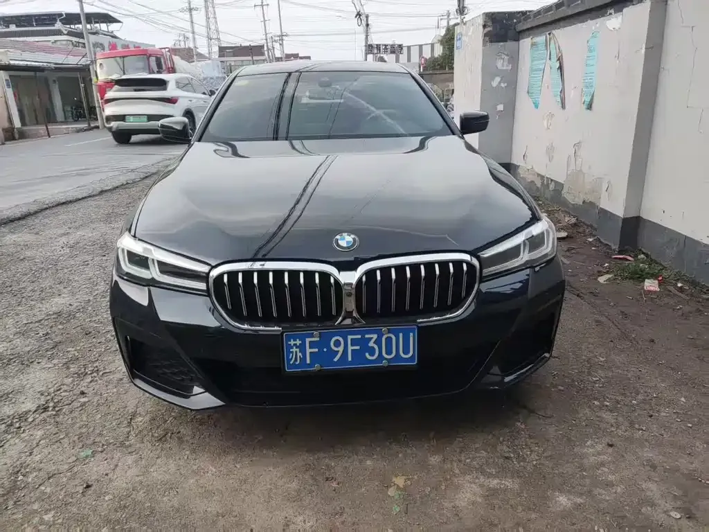 BMW 5 Series 2021 из CN, фото 3
