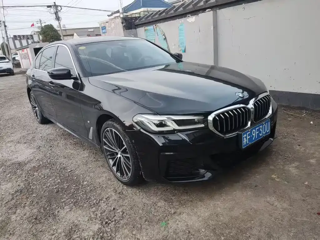 BMW 5 Series 2021 из CN, фото 8