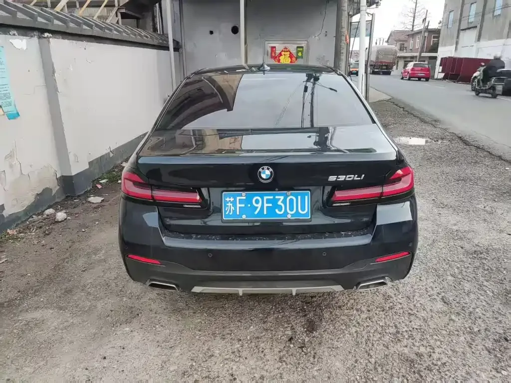 BMW 5 Series 2021 из CN, фото 6