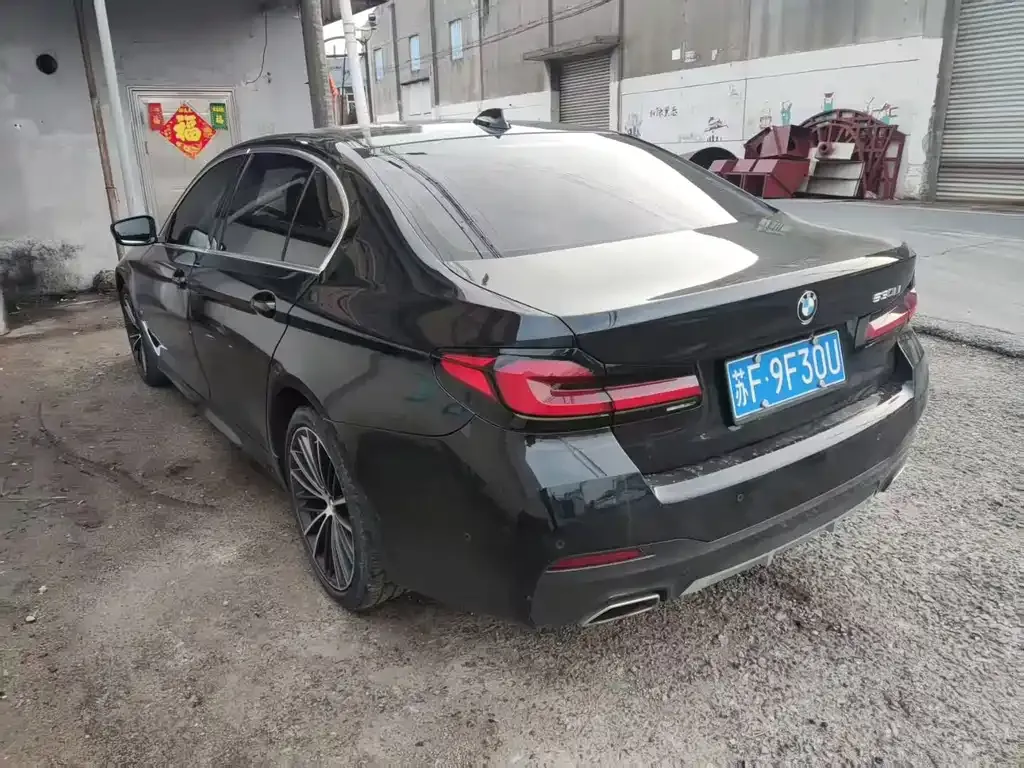 BMW 5 Series 2021 из CN, фото 7