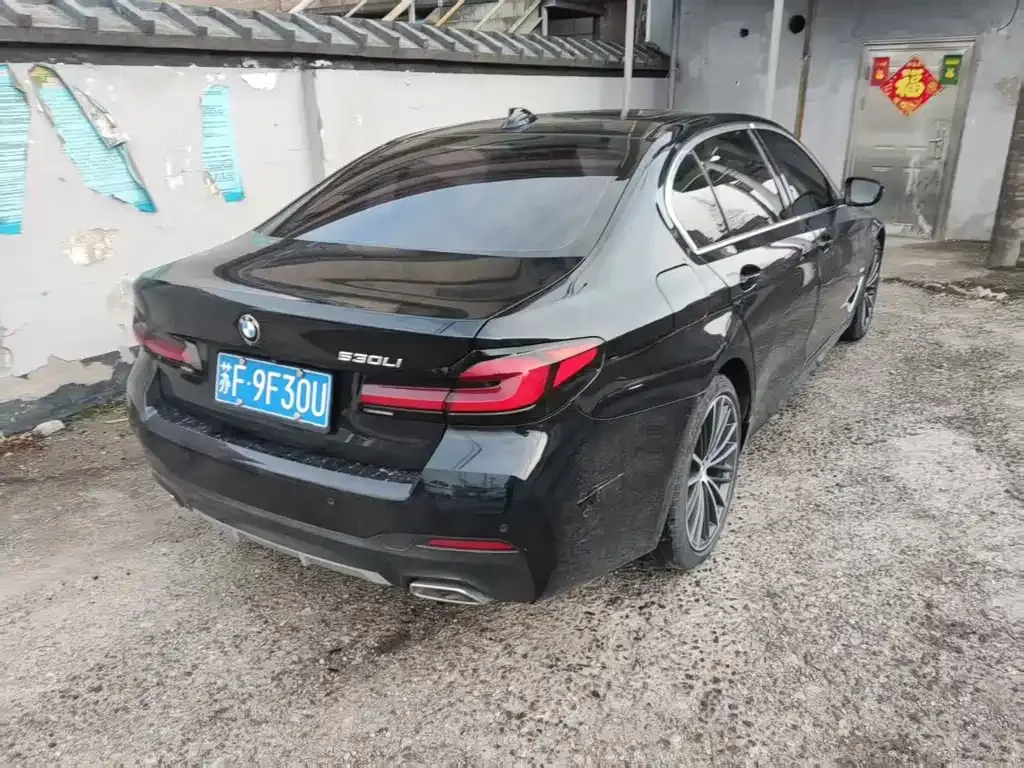 BMW 5 Series 2021 из CN, фото 9