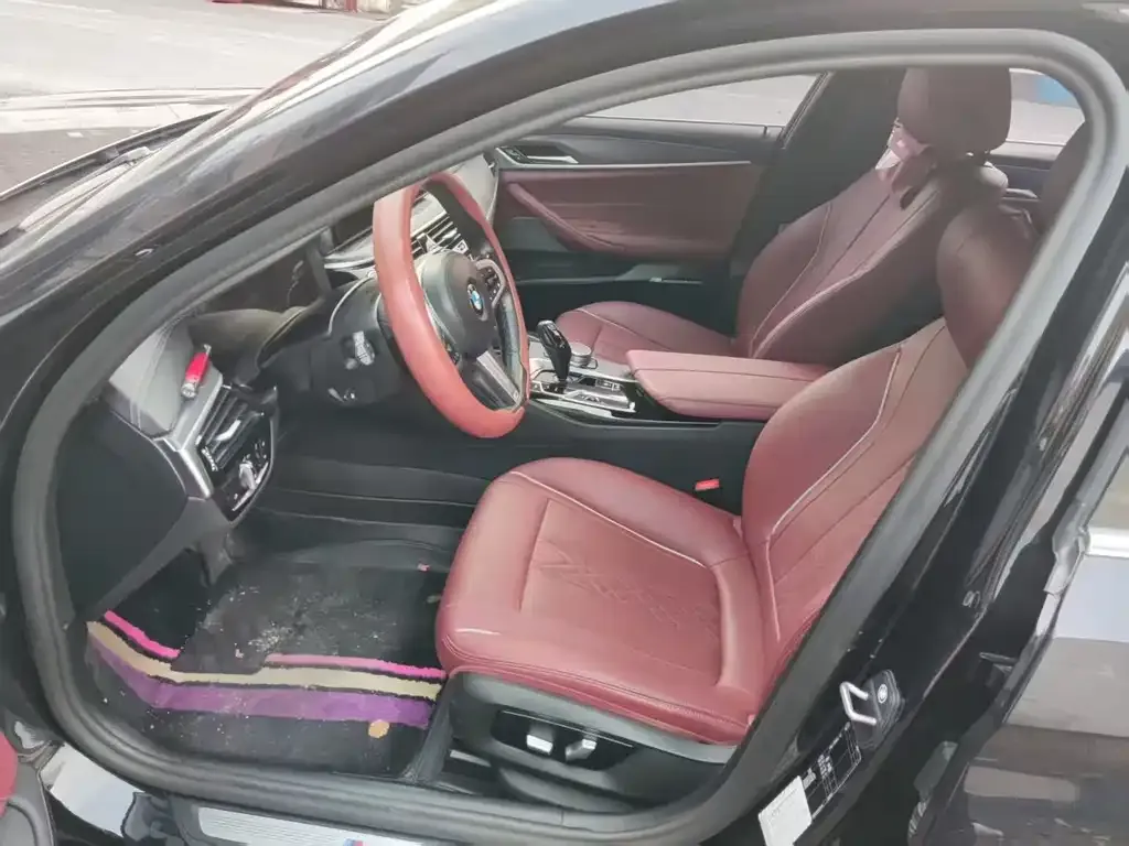 BMW 5 Series 2021 из CN, фото 4