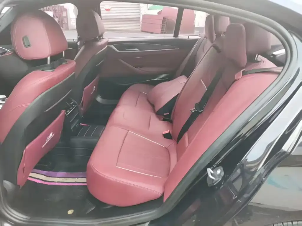 BMW 5 Series 2021 из CN, фото 5