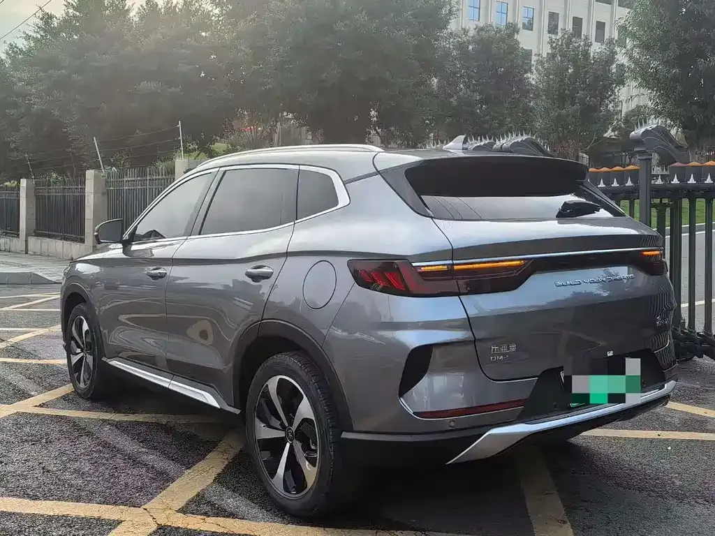 BYD PLUS New Energy — фото 7