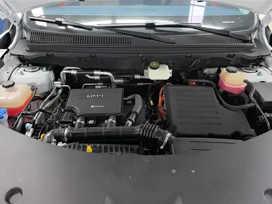 BYD Pro New Energy 2025 из CN, фото 10