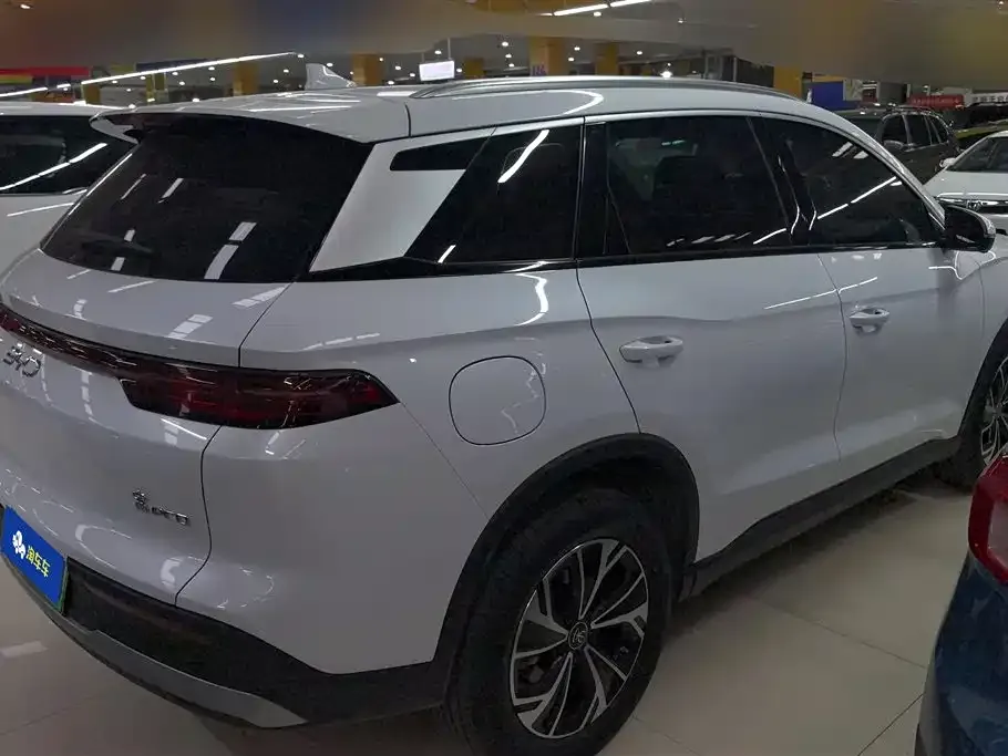 BYD Pro New Energy 2025 из CN, фото 2