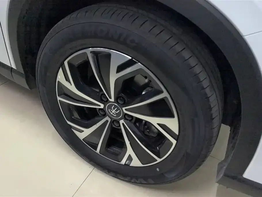 BYD Pro New Energy 2025 из CN, фото 3
