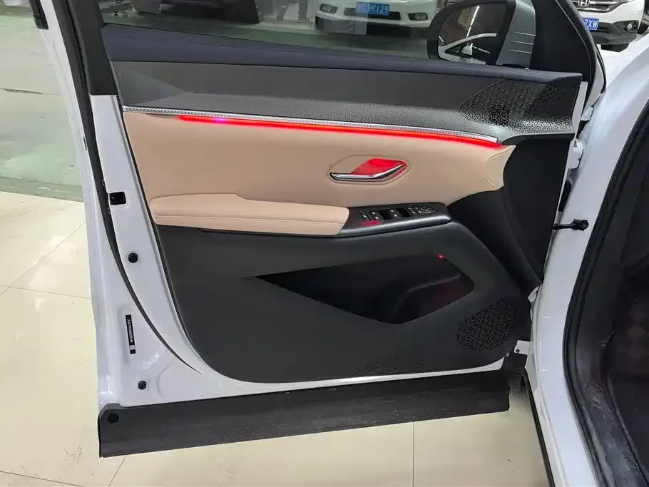 BYD Pro New Energy 2025 из CN, фото 4