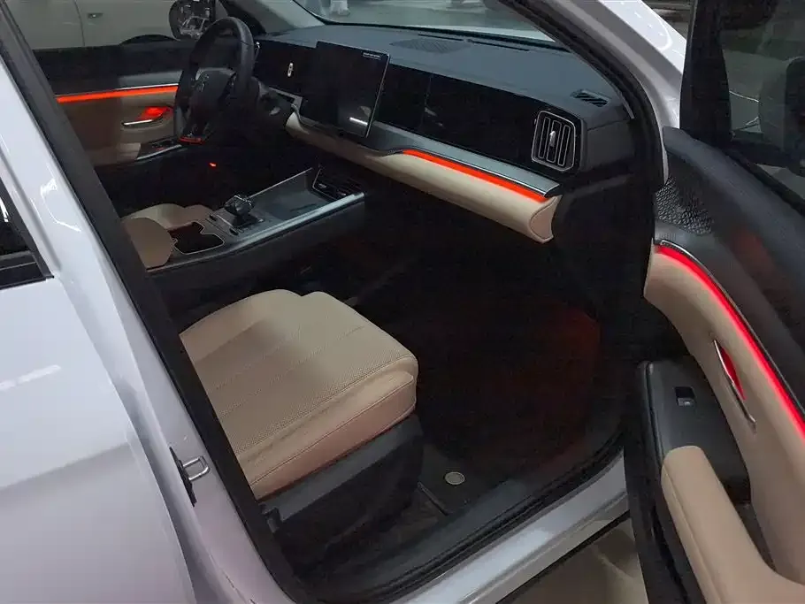 BYD Pro New Energy 2025 из CN, фото 7