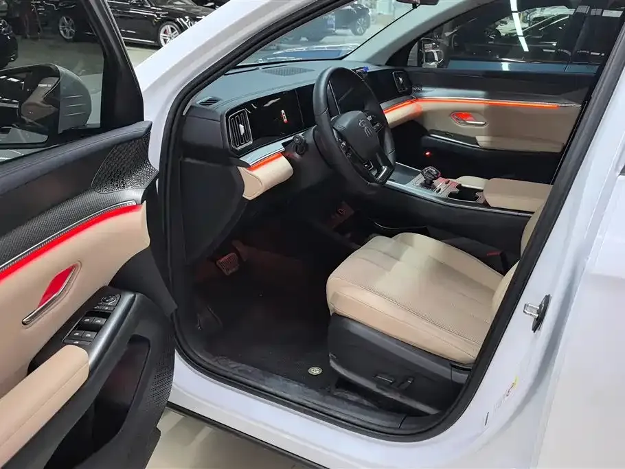 BYD Pro New Energy 2025 из CN, фото 8