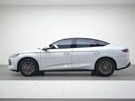 BYD Qin L — фото 2