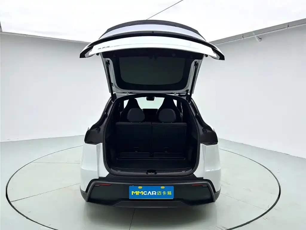 Tesla Model Y — фото 9