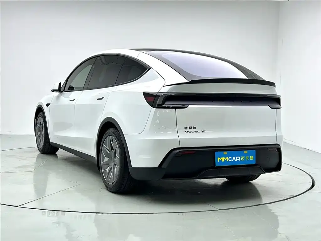 Tesla Model Y — фото 10