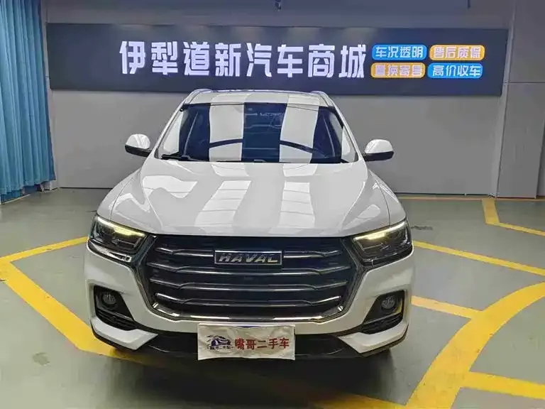 Haval H6 2023 из CN, фото 6