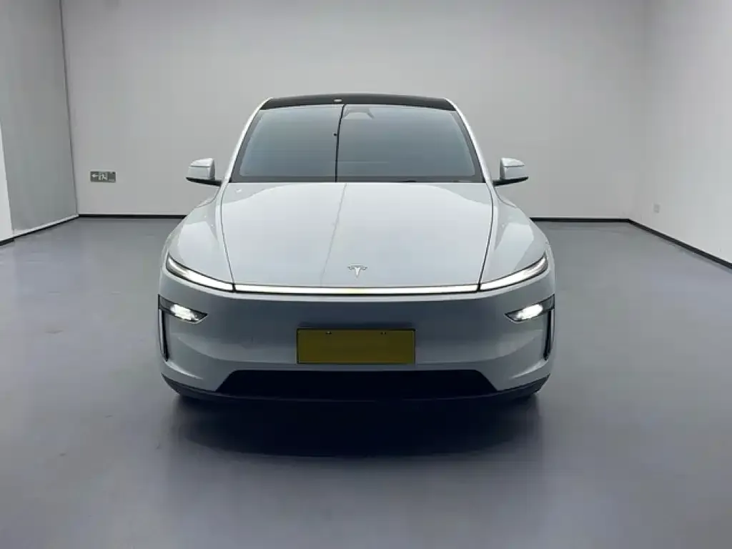 Tesla Model Y — фото 5