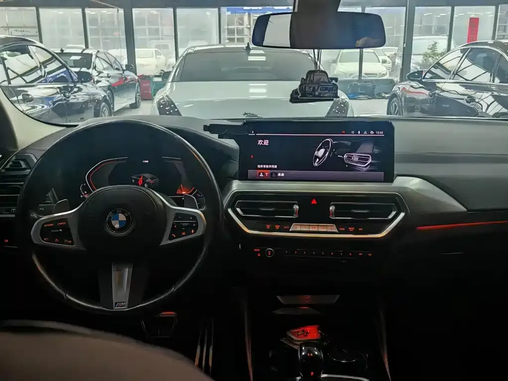 BMW X4 2023 из CN, фото 4