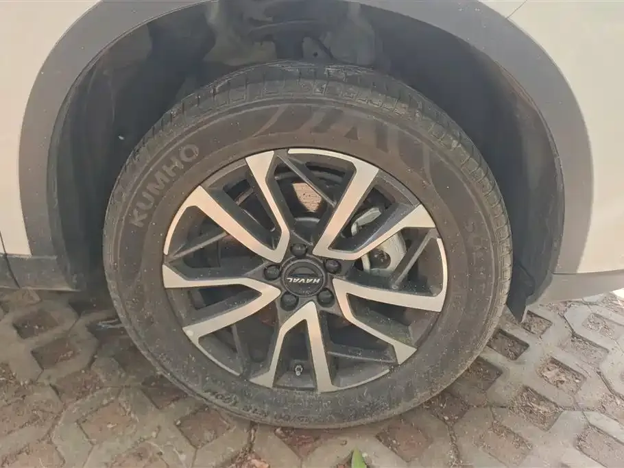 Haval H6 2023 из CN, фото 7