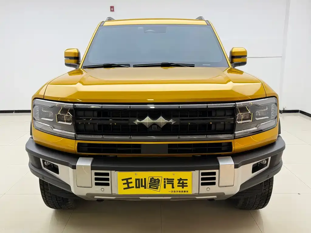 Fang Cheng Bao Leopard 5 2024 из CN, фото 4