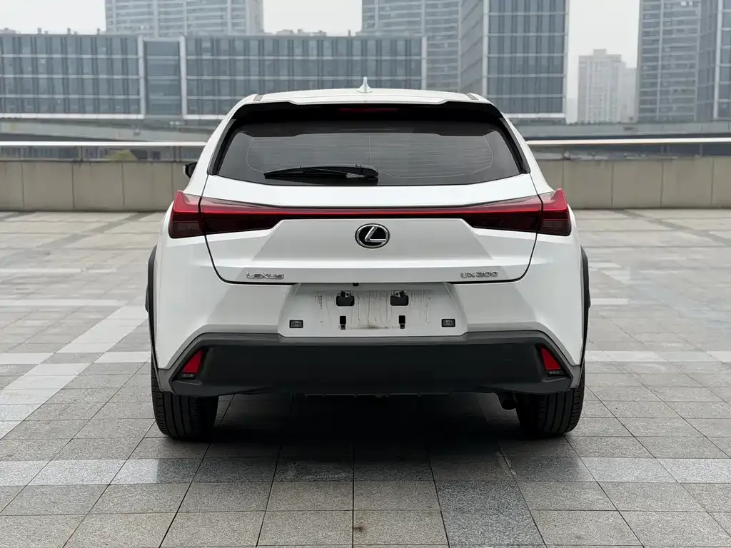 Lexus UX 2022 из CN, фото 9