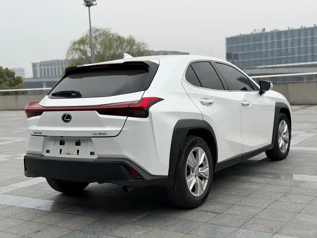 Lexus UX 2022 из CN, фото 10