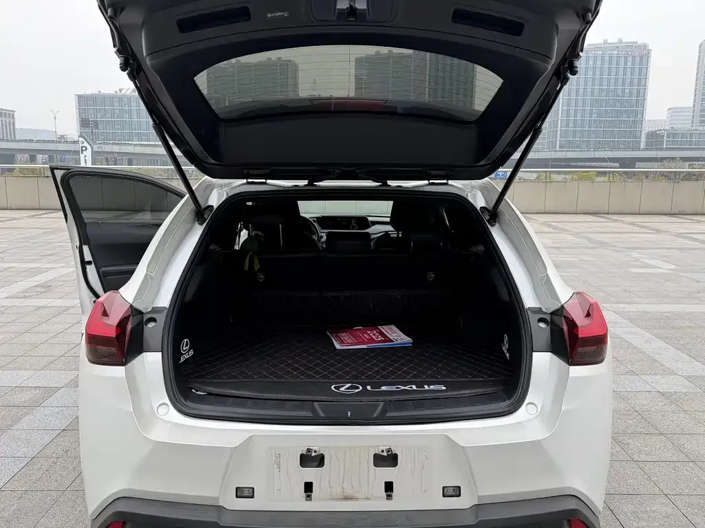 Lexus UX 2022 из CN, фото 8