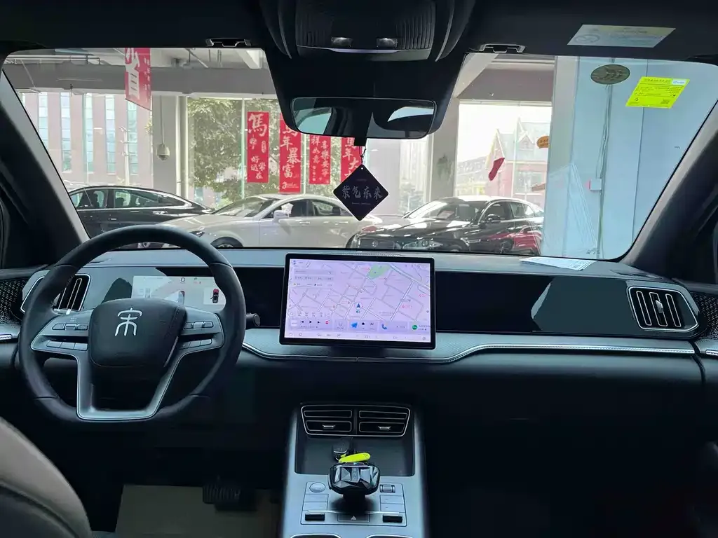 BYD Pro New Energy 2025 из CN, фото 10
