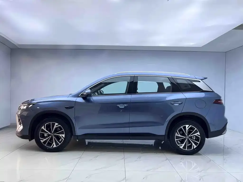 BYD Pro New Energy 2025 из CN, фото 2
