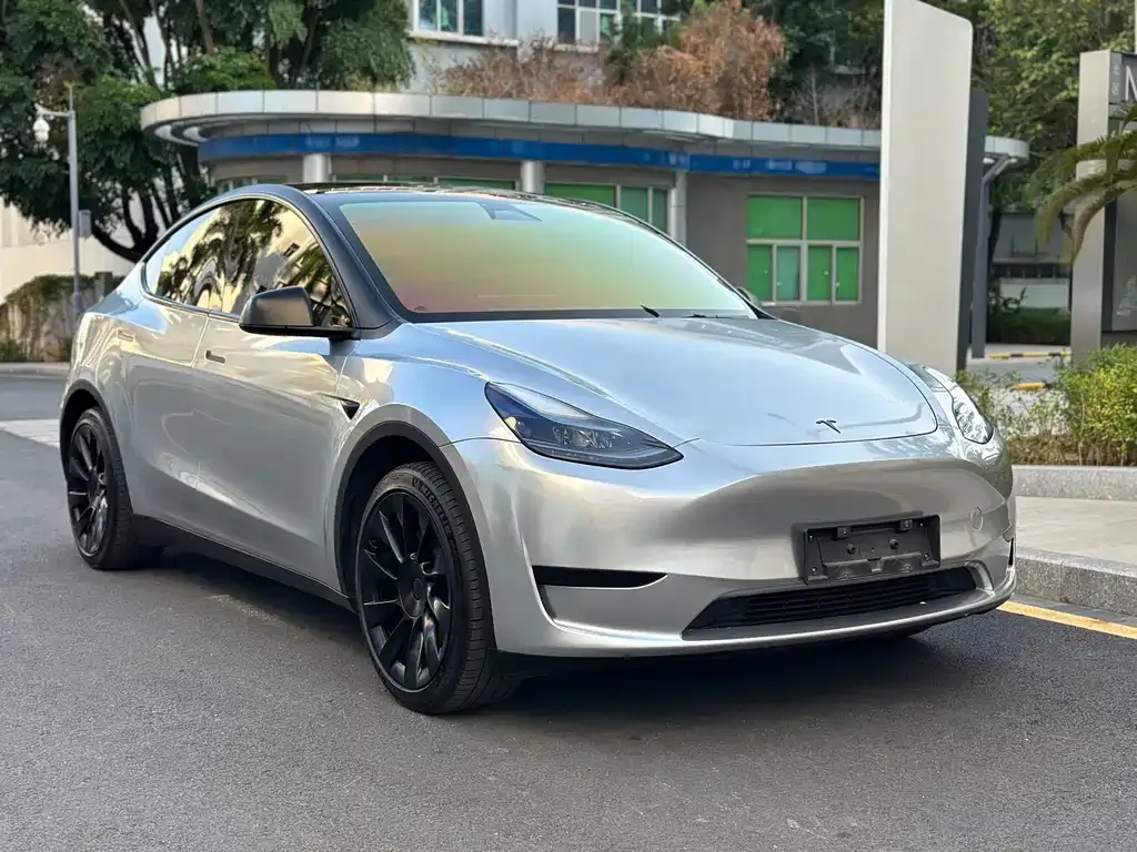 Tesla Model Y — фото 10