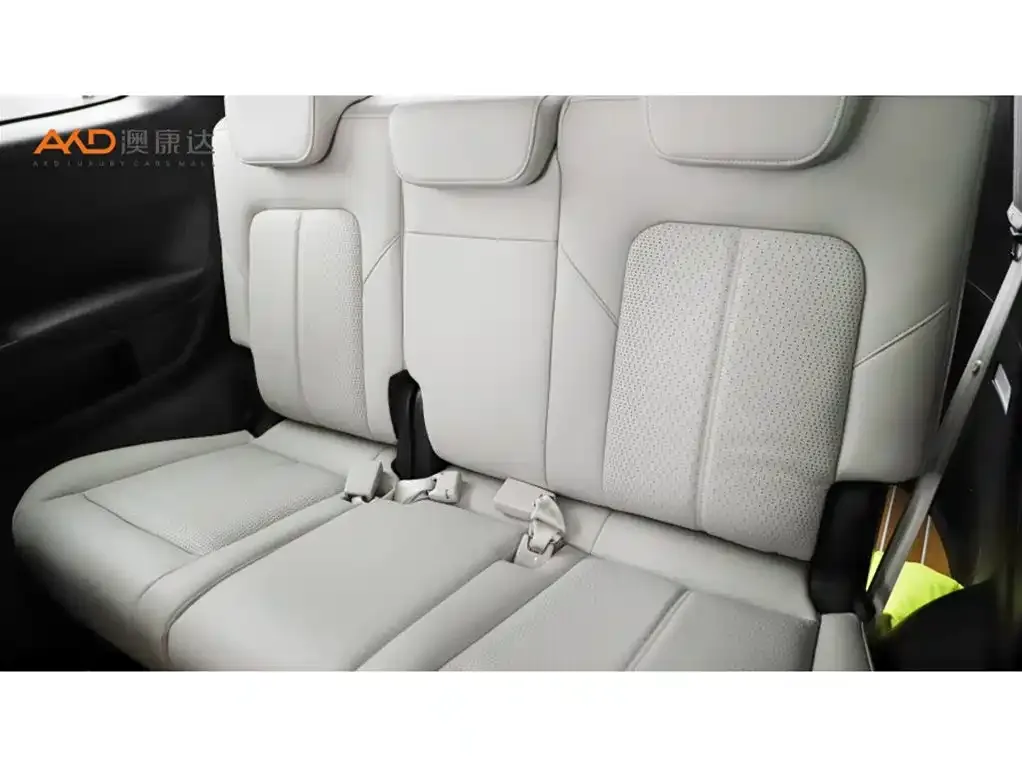 GAC Motor Trumpchi M8 2022 из CN, фото 9