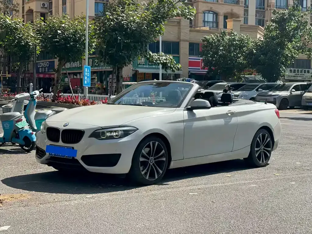 BMW 2 Series (Import) 2021 из CN, фото 1