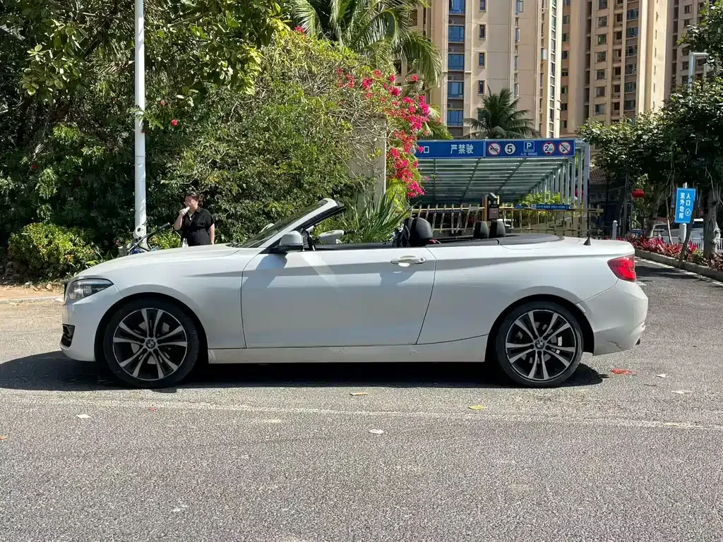 BMW 2 Series (Import) 2021 из CN, фото 6