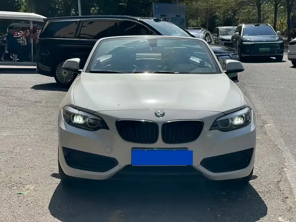 BMW 2 Series (Import) 2021 из CN, фото 3