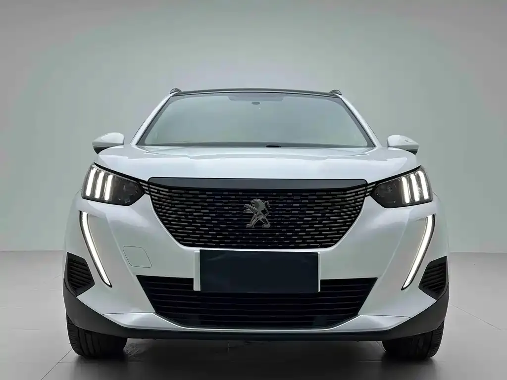 Peugeot 2008 2023 из CN, фото 2