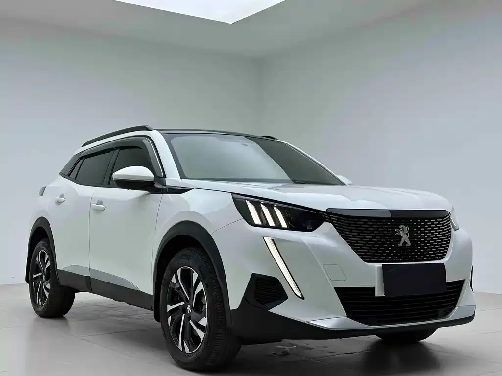 Peugeot 2008 2023 из CN, фото 8