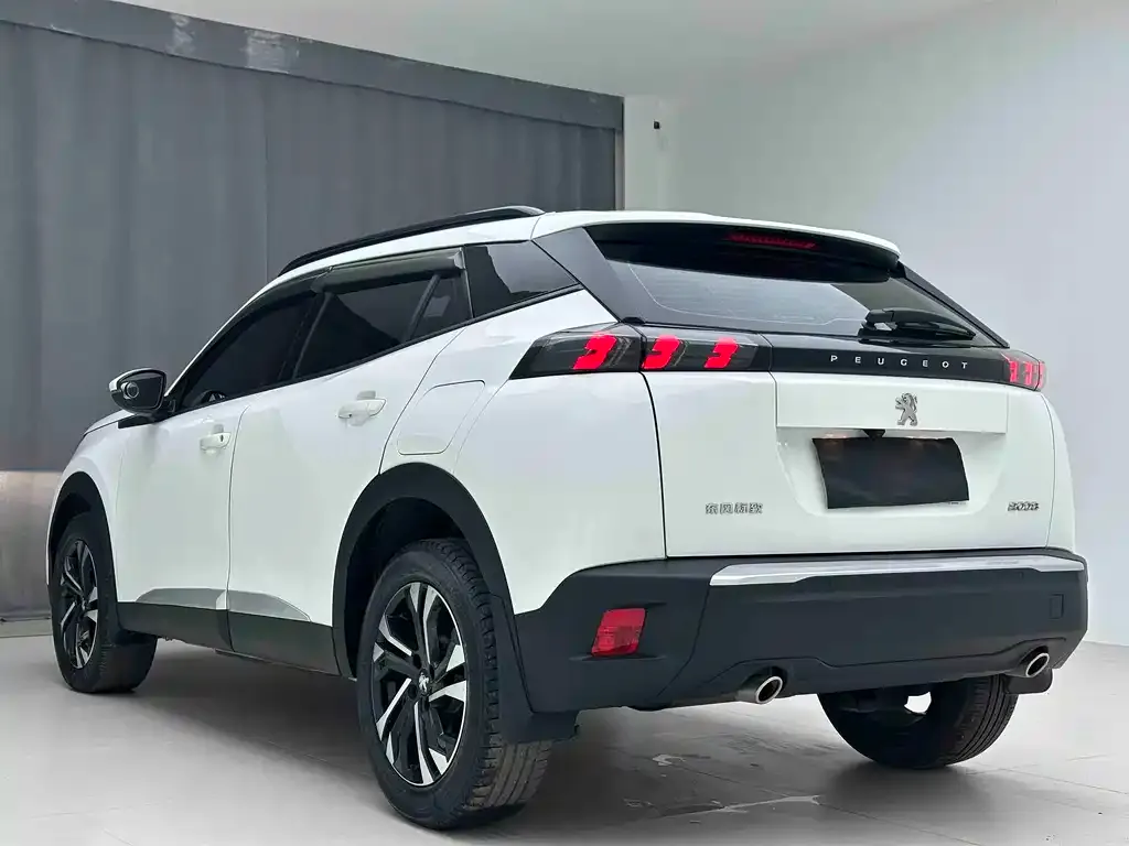 Peugeot 2008 2023 из CN, фото 6