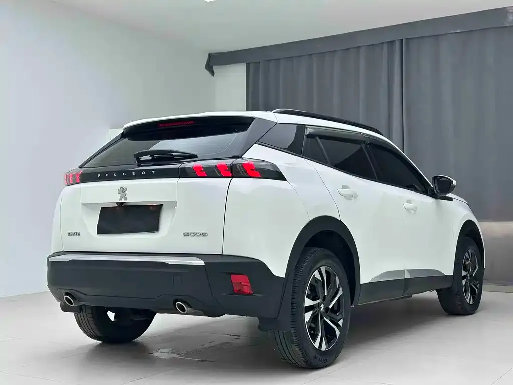 Peugeot 2008 2023 из CN, фото 10