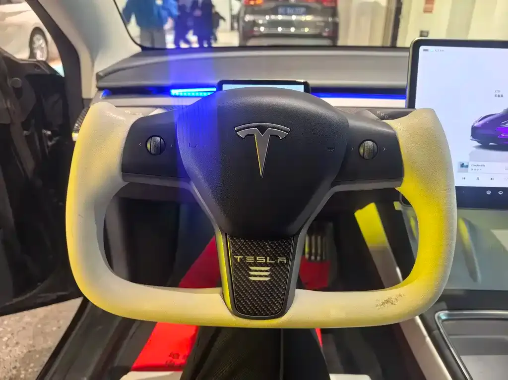 Tesla Model 3 2023 из CN, фото 3
