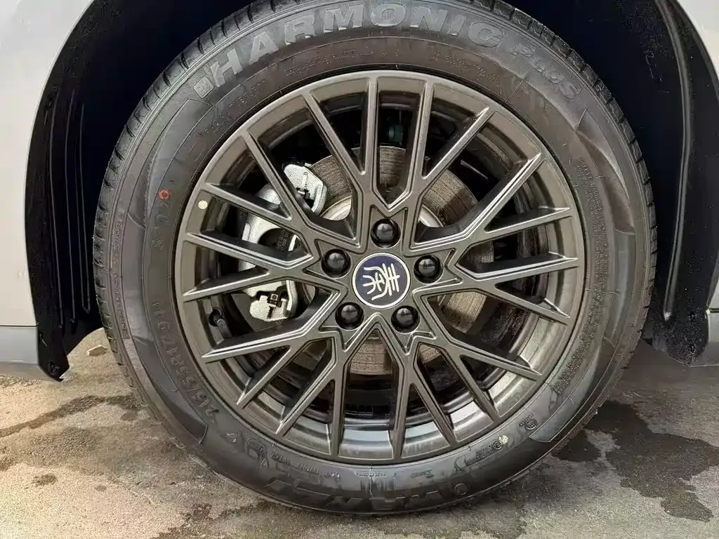 BYD Qin PLUS 2025 из CN, фото 3