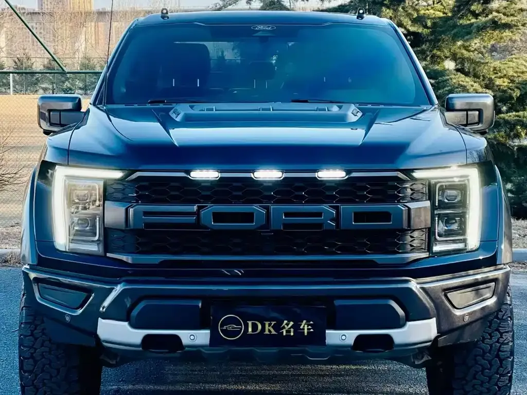 Ford F-150 Raptor 2023 из CN, фото 1