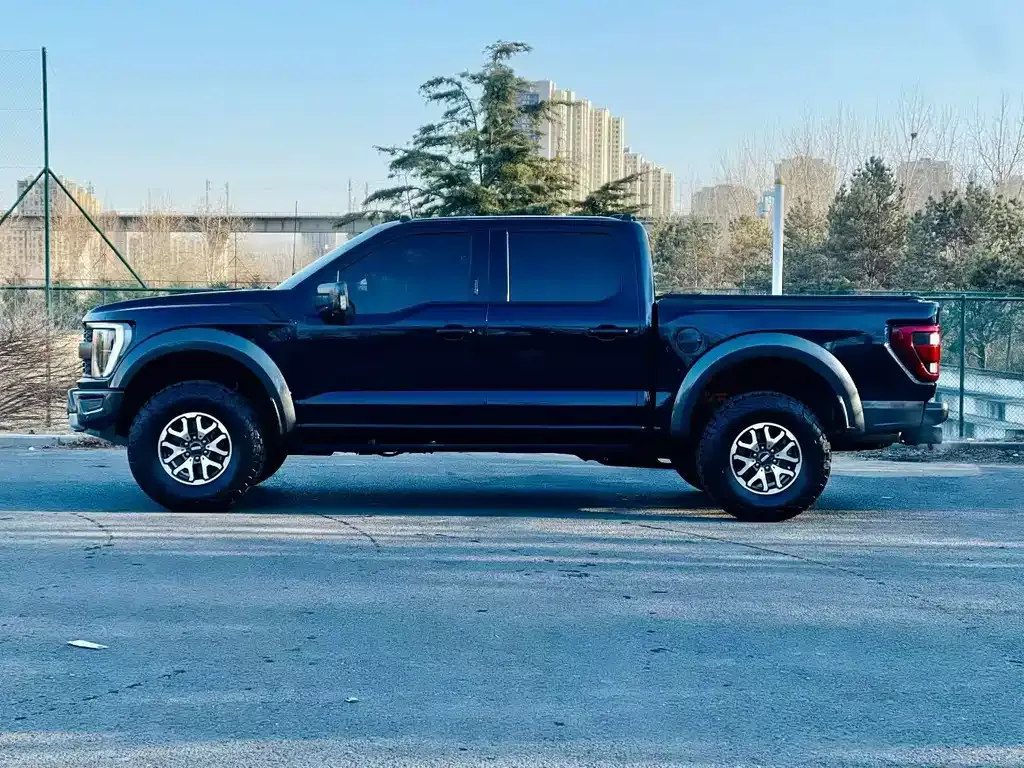 Ford F-150 Raptor 2023 из CN, фото 9