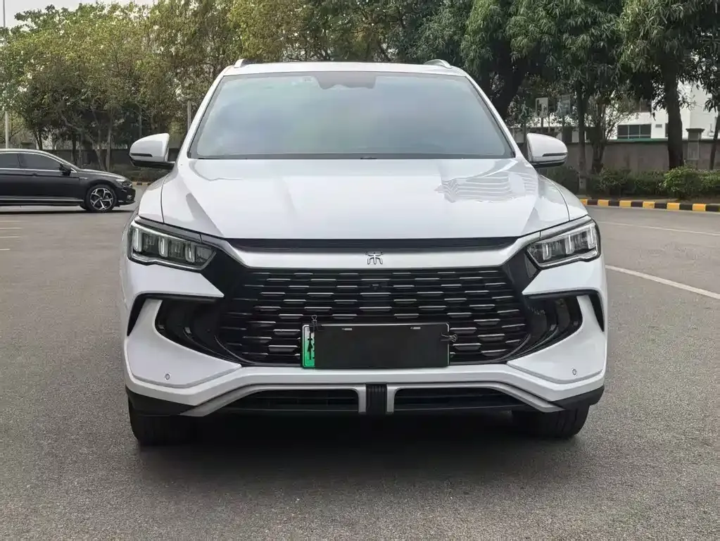 BYD Pro New Energy — фото 4